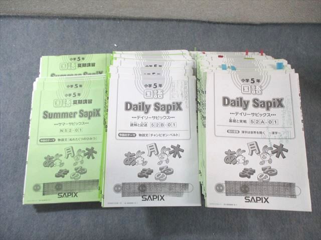 SAPIX 小5 サピックス デイリーA/B/サマー 国語 【計84回分】 通年