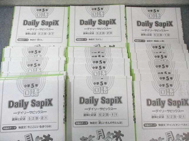 SAPIX 小5 サピックス デイリーA/B/サマー 国語 【計84回分】 通年