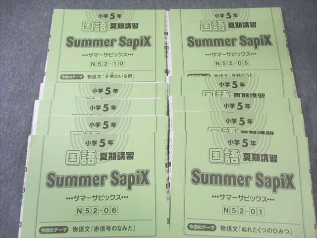 SAPIX 小5 サピックス デイリーA/B/サマー 国語 【計84回分】 通年