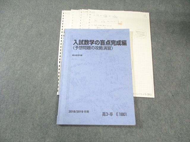駿台　盲点B 数学エクスプレス　盲点完成編　2018年度　テキスト板書配布物 駿台 入試数学の盲点完成編〈予想問題の攻略演習〉 2018 冬期 小林隆章