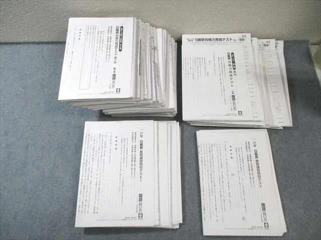 日能研 小6 春期 夏期 学習力育成 合格力育成テスト ステージIV V 計29回分 2025 180 L 2 D