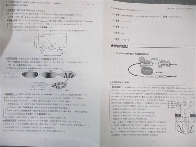 駿台 生物トリプルミラクル テキスト/講義参考書 【テスト計4回分付き  