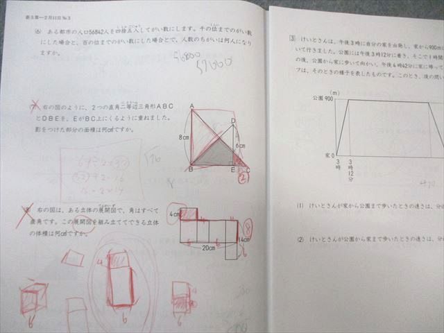 通年セット 2025
