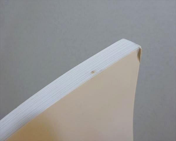 公務員試験テキスト　吉井英二 必勝倶楽部 吉井英二の公務員試験 スーパー専門記述 憲法 東京都庁