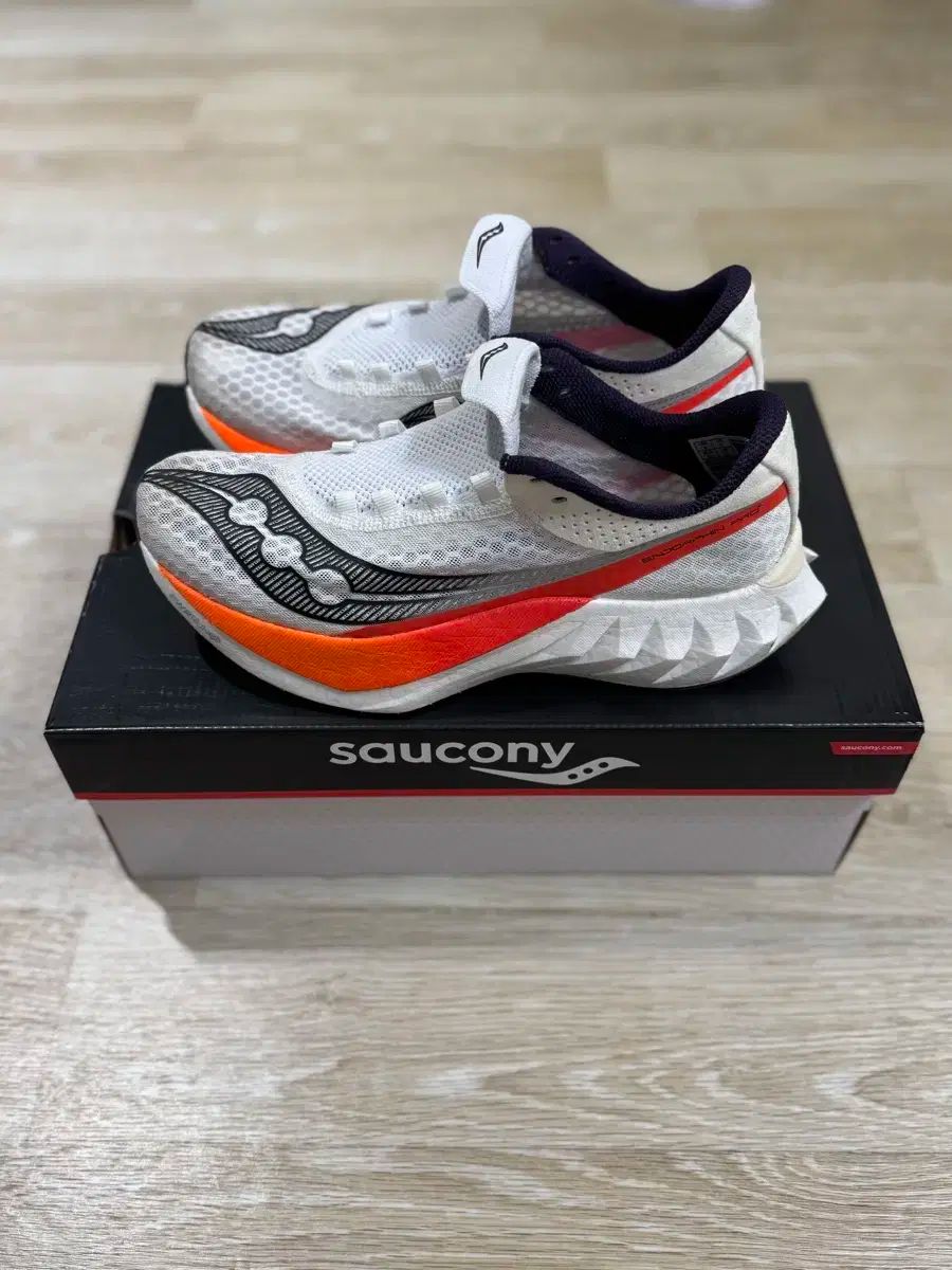 サッカニー エンドルフィン プロ4 260