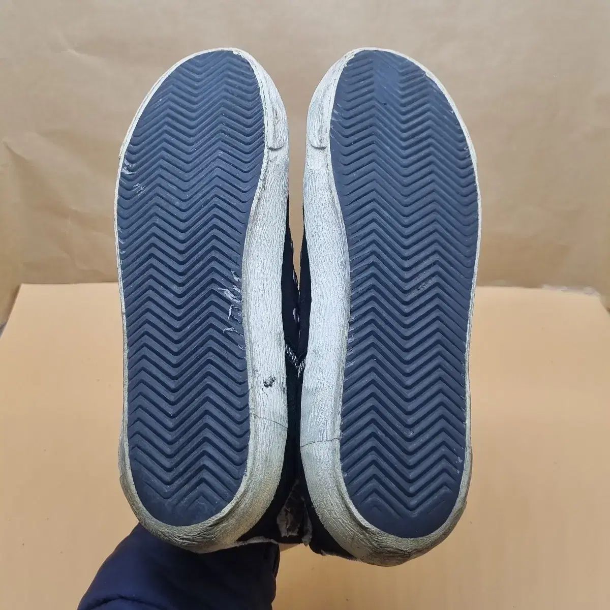 ゴールデングース フランツ