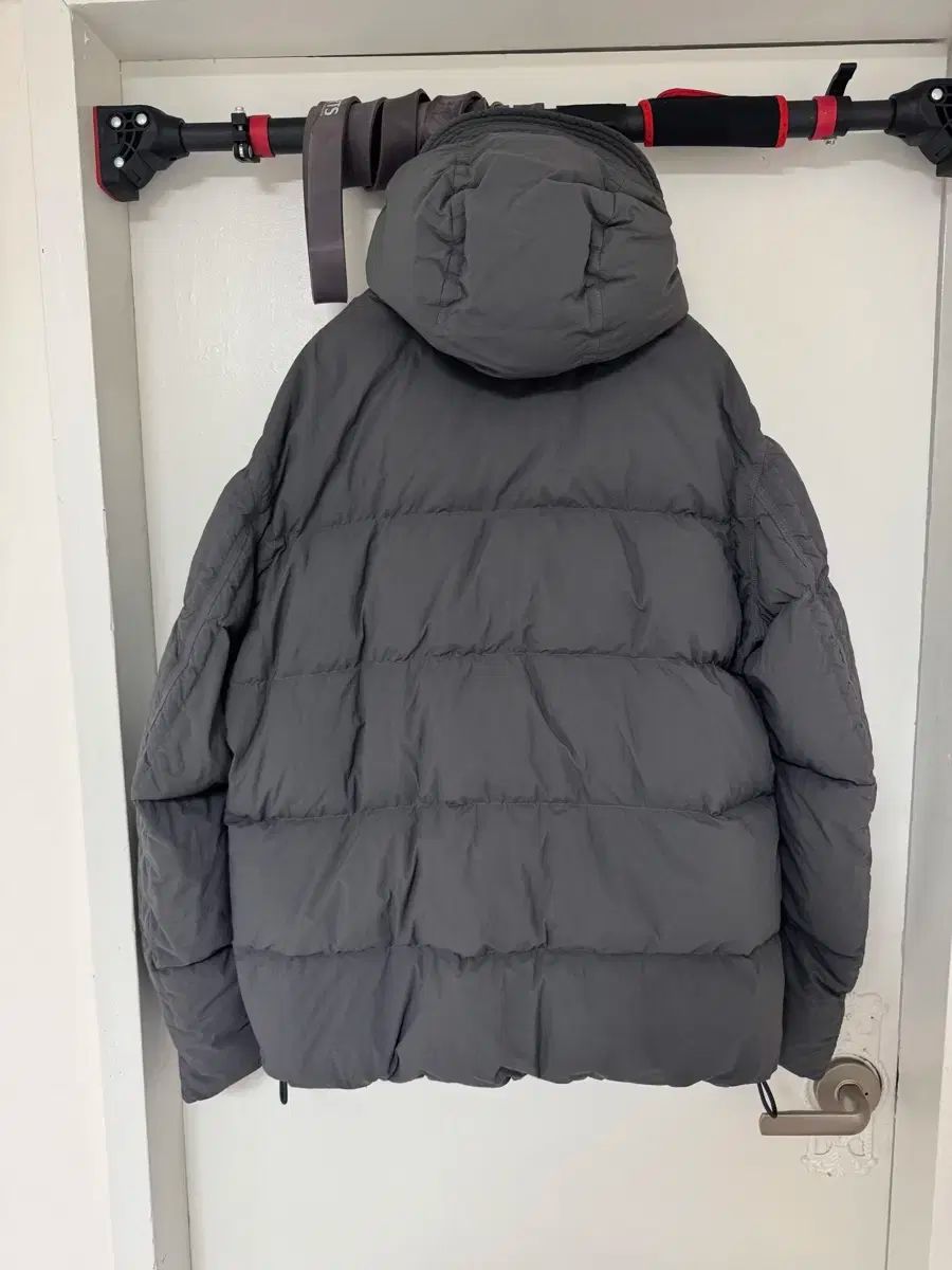 テンシー サバイバル グレー 52サイズ