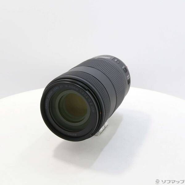 〔 〕 Canon EF 70-300mm F4-5.6 IS II USM 251