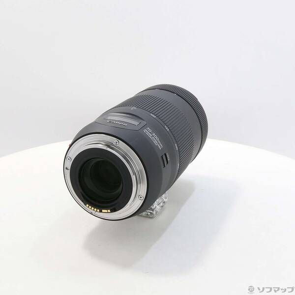 リアリスティックな 〔 〕 Canon EF 70-300mm F4-5.6 IS II USM 251