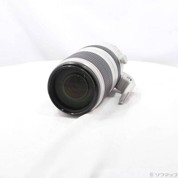 〔 品〕 Canon EF 100-400mm F4.5-5.6L IS II USM レンズ 262