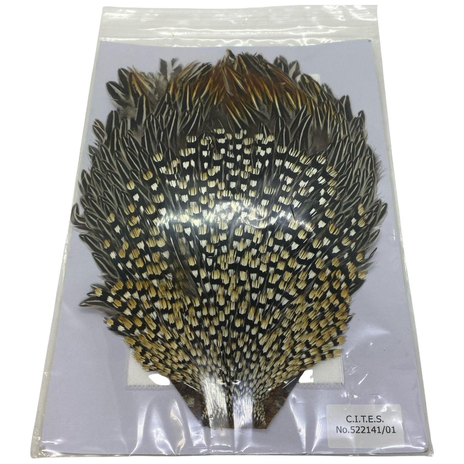 ΨΨ マテリアル ジャングルコック