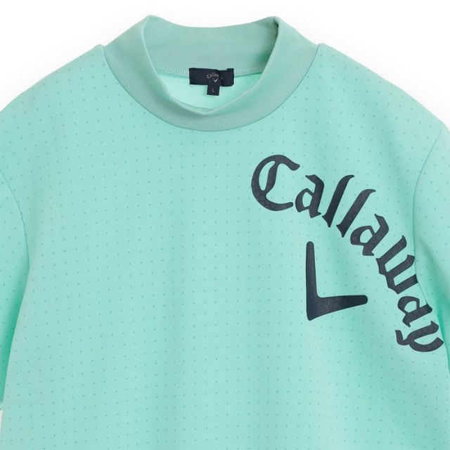 種類1：ベージュ(1040)/LL キャロウェイ ドットプリント スウェット