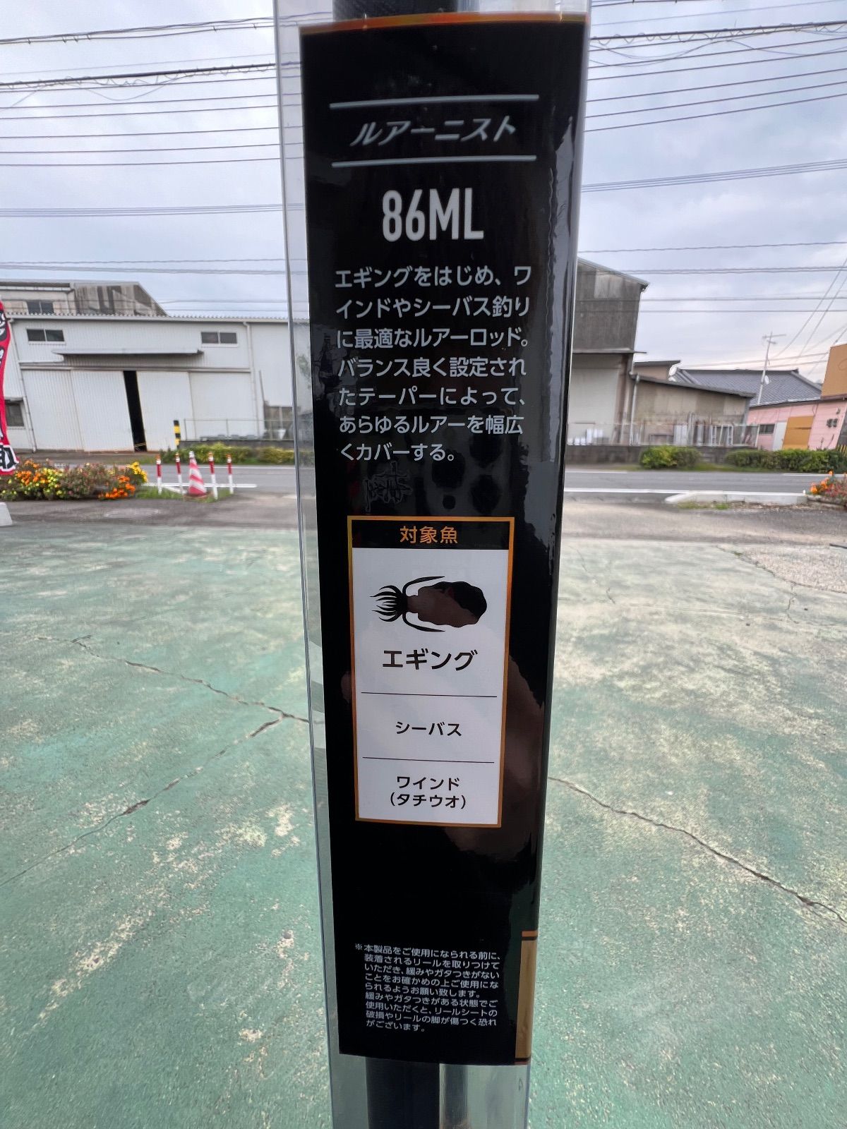 ワインド タチウオ