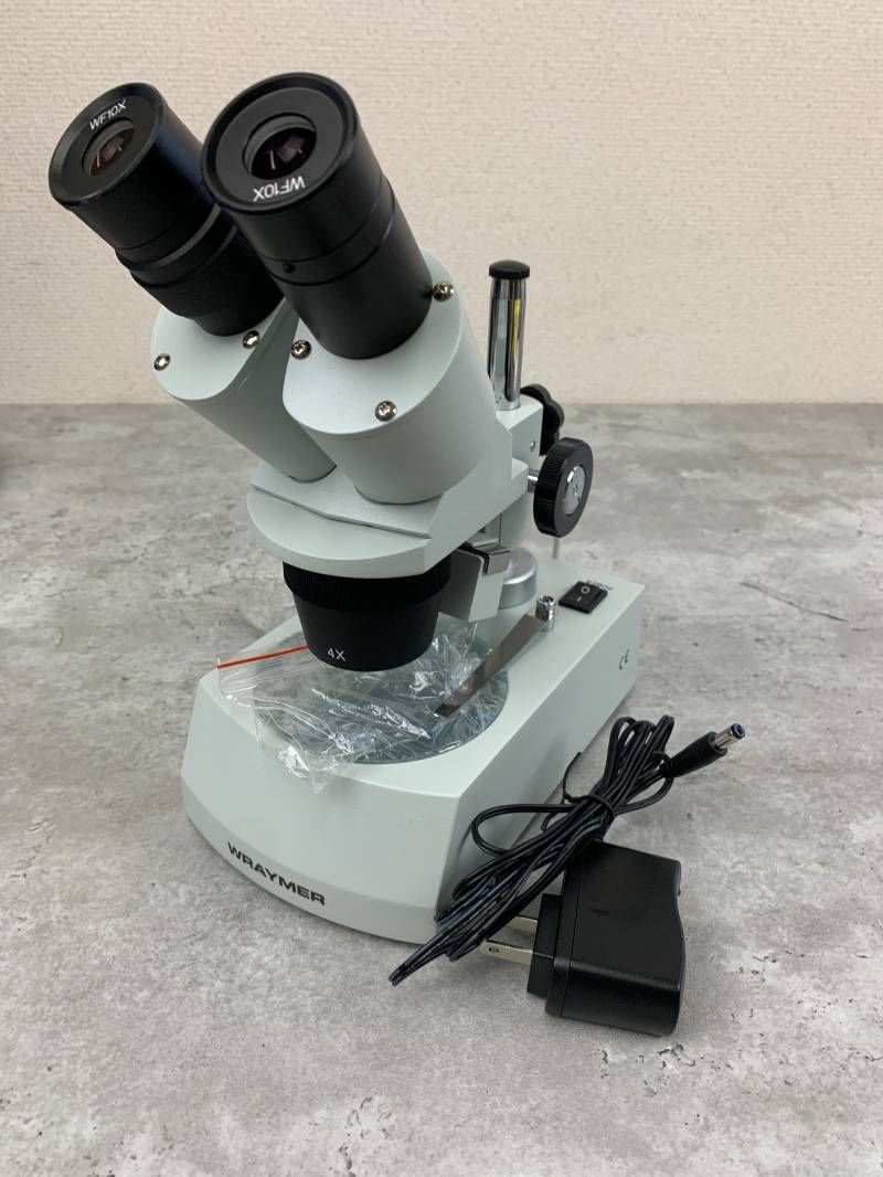 レズミルズ【BODYSTEP 43 44 60 65】日本語コリオシート