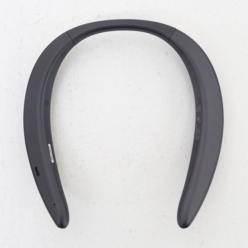 ネックスピーカー 416-C228