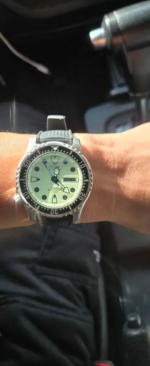  シチズン 복어 フールーメ NY 0040 09 W 自動巻き時計 腕時計(アナログ)