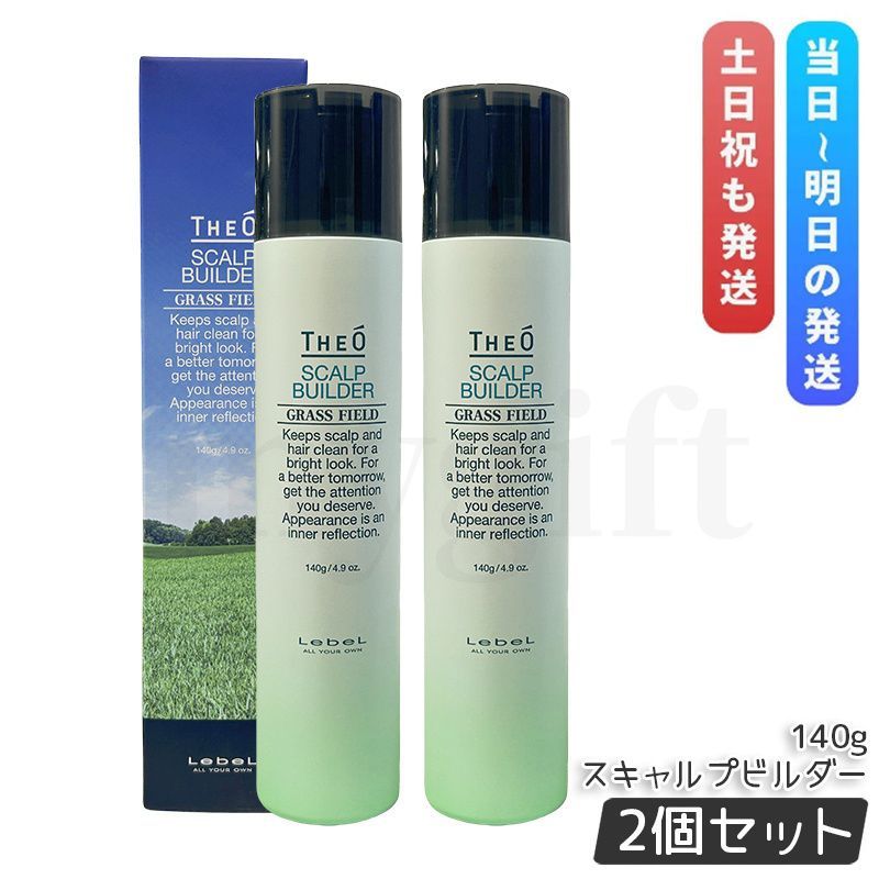 ルベル ジオ スキャルプビルダー 140g 2個セット 育毛剤 医薬部外品 男性用育毛剤 発毛 LebeL THEO スキャルプエッセンス SB 発毛促進 薄毛