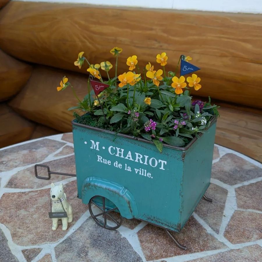 🛺ブックミニカートに寄せ植え✽リトルコニー - メルカリ