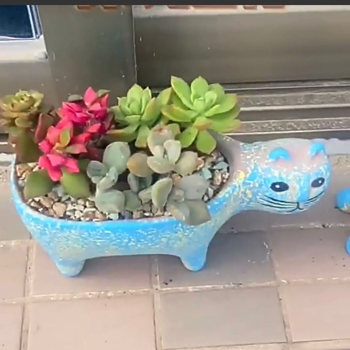 猫の発情とマウンティングの理由とは？家庭ごとに異なる行動パターン, image size:1170x1170