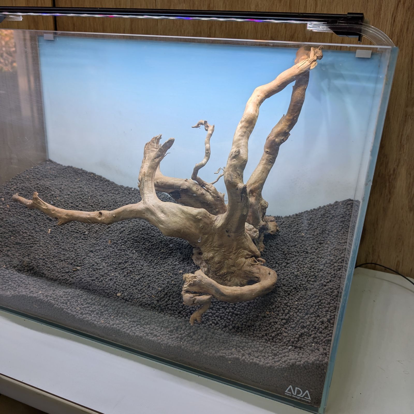 【ハマ流木】 ブランチウッド✻未処理｜43cm｜BW844012｜1点｜自然流木 - メルカリ