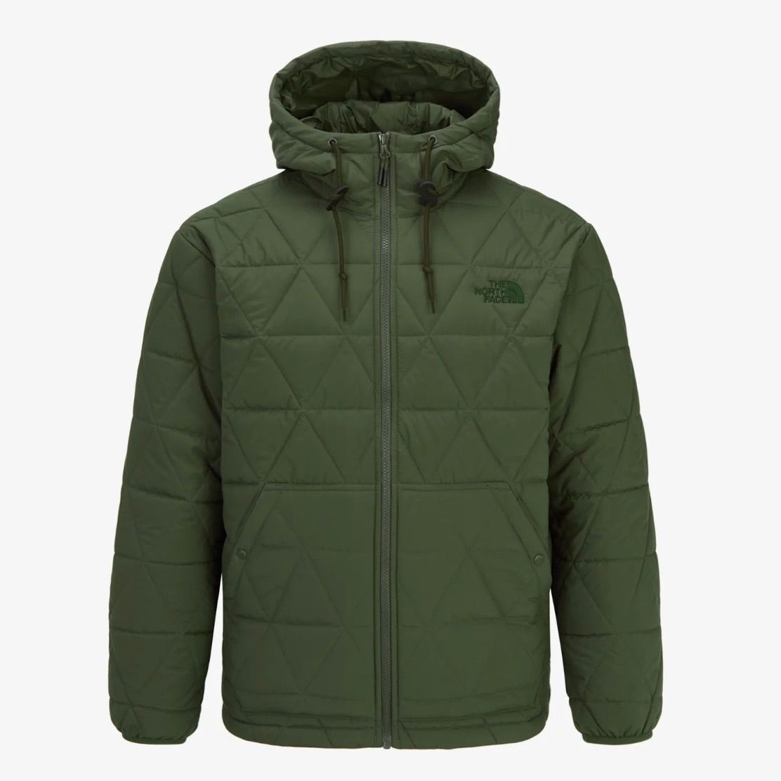 THE NORTH FACE M S GEODOME V HOODIE