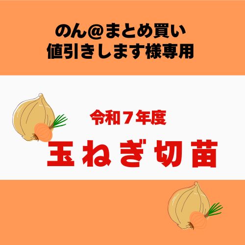 玉ねぎ苗 ソニック 品 のご案内