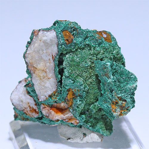 D363-40〕マラカイト(孔雀石) モロッコ産 Malachite 1個 鉱物原石