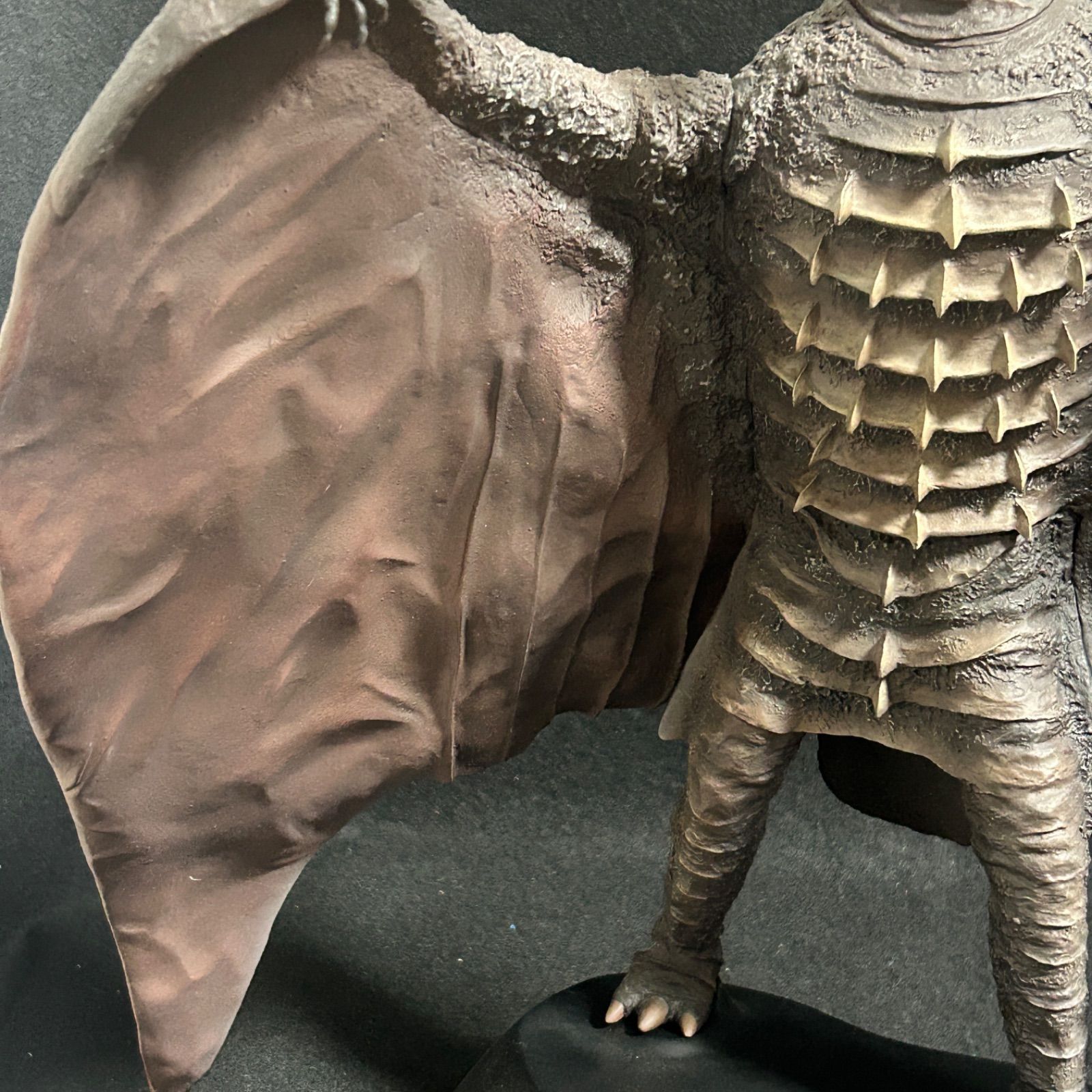 エクスプラス FAVORITE