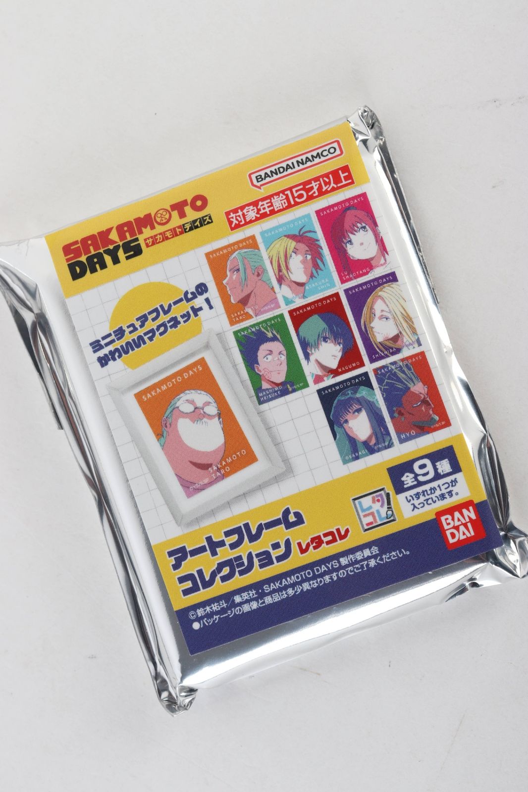 アートフレーム DAYS レタコレ セット R 2511 091