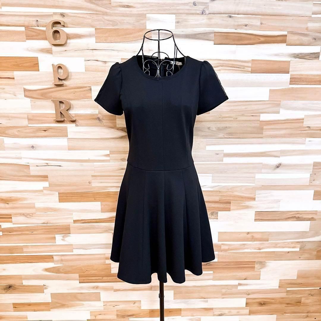 シアー オーガンジー