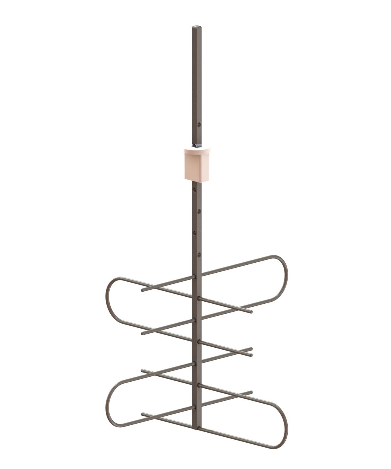 親株出品 SAD 工場 南アフリカダイヤモンド 子株二つ付き アガベ 検)大白鯊