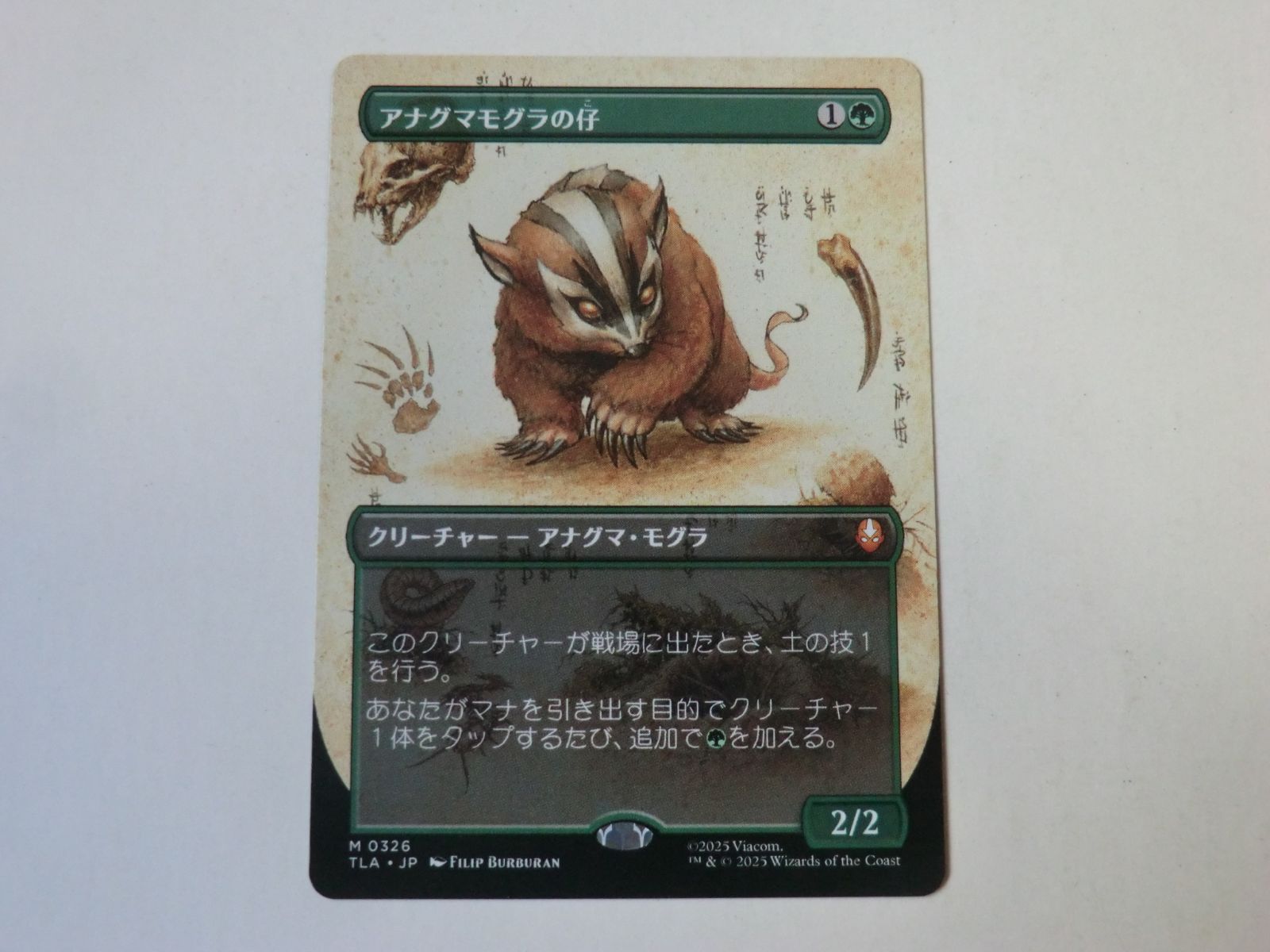 MTG アナグマモグラの仔 ボーダーレス アバター 伝説の少年アン 日本語 1枚
