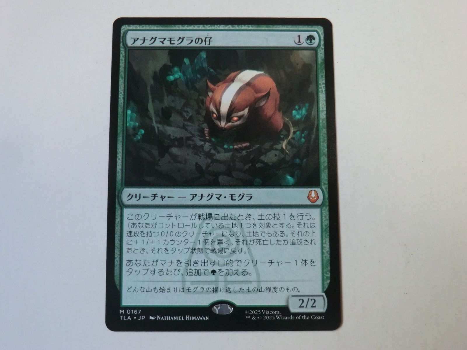 アナグマモグラの仔 日本語 MTG アナグマモグラの仔 MTG 日本語 日本語