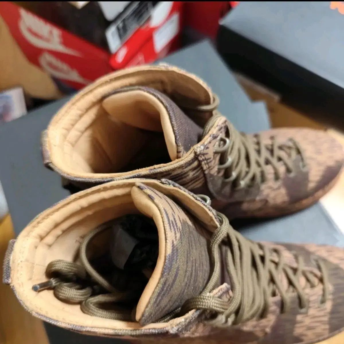 シーズン6 カモ