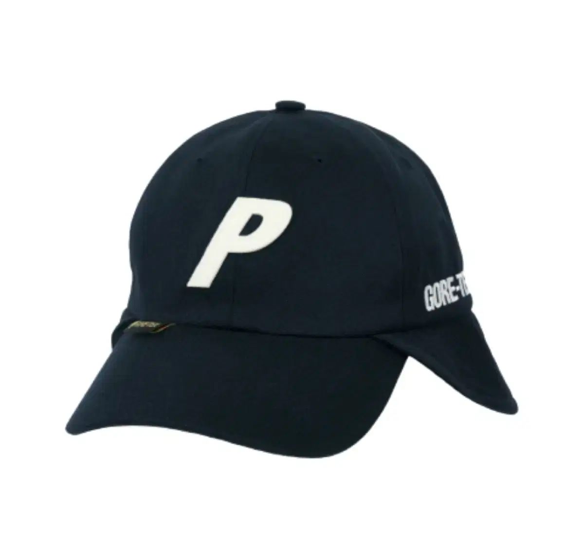 PALACE パレス 25SS GORE-TEX ゴアテックス ネック セイバー P 6-パネル