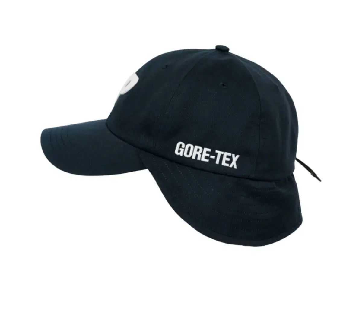 PALACE パレス 25SS GORE-TEX ゴアテックス ネック セイバー P 6-パネル