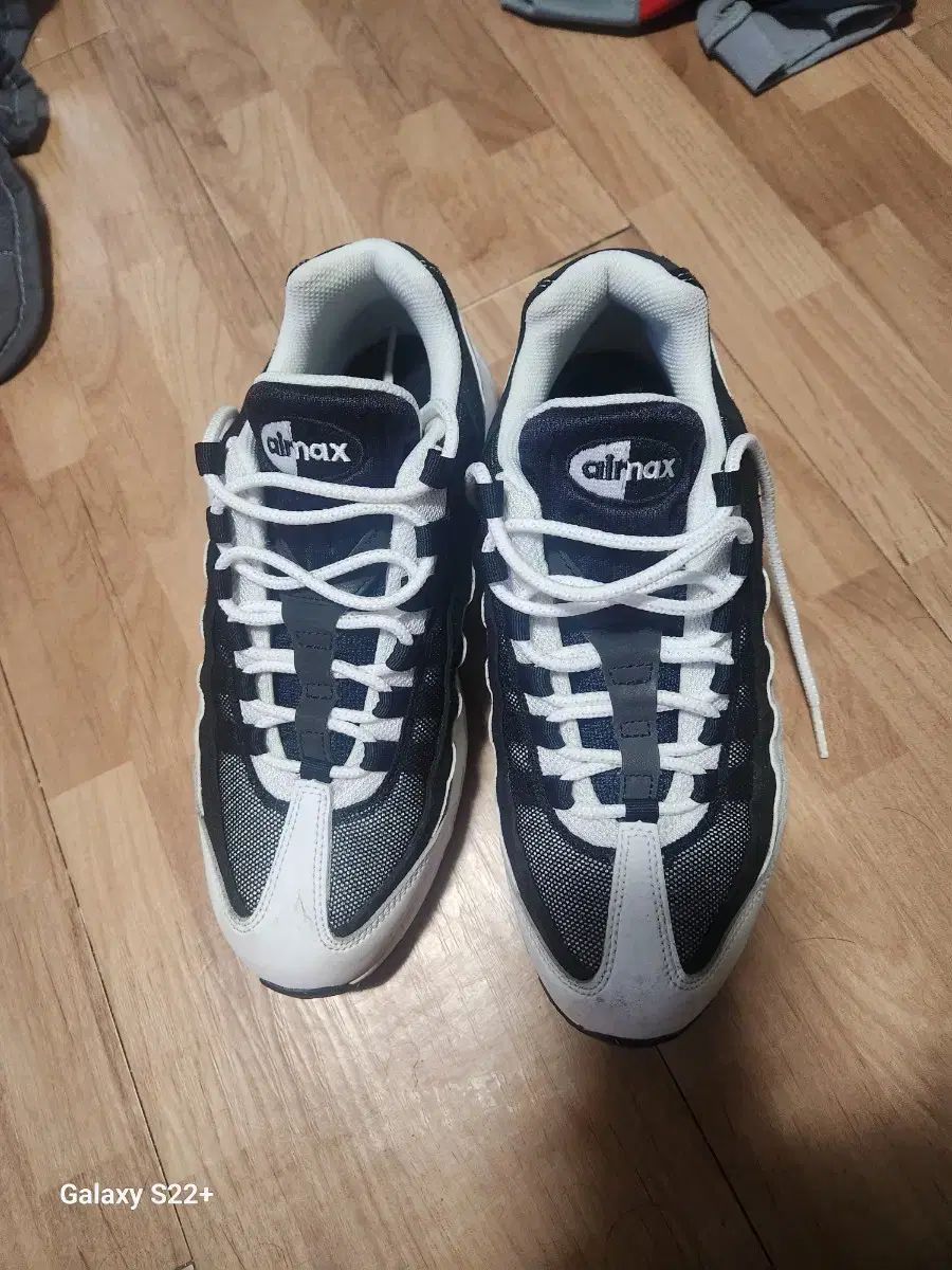 ナイキ エアマックス 95 サイズ 250