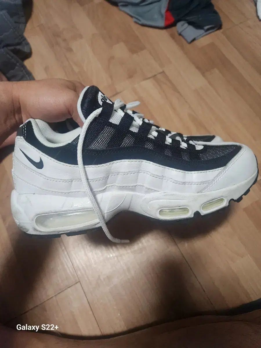 ナイキ エアマックス 95 サイズ 250