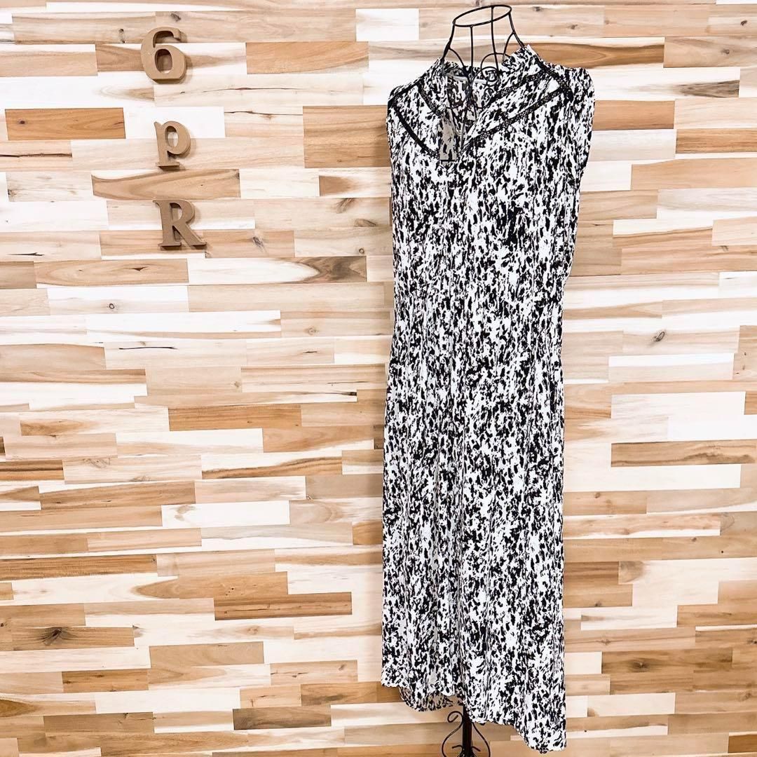 アニマル レース