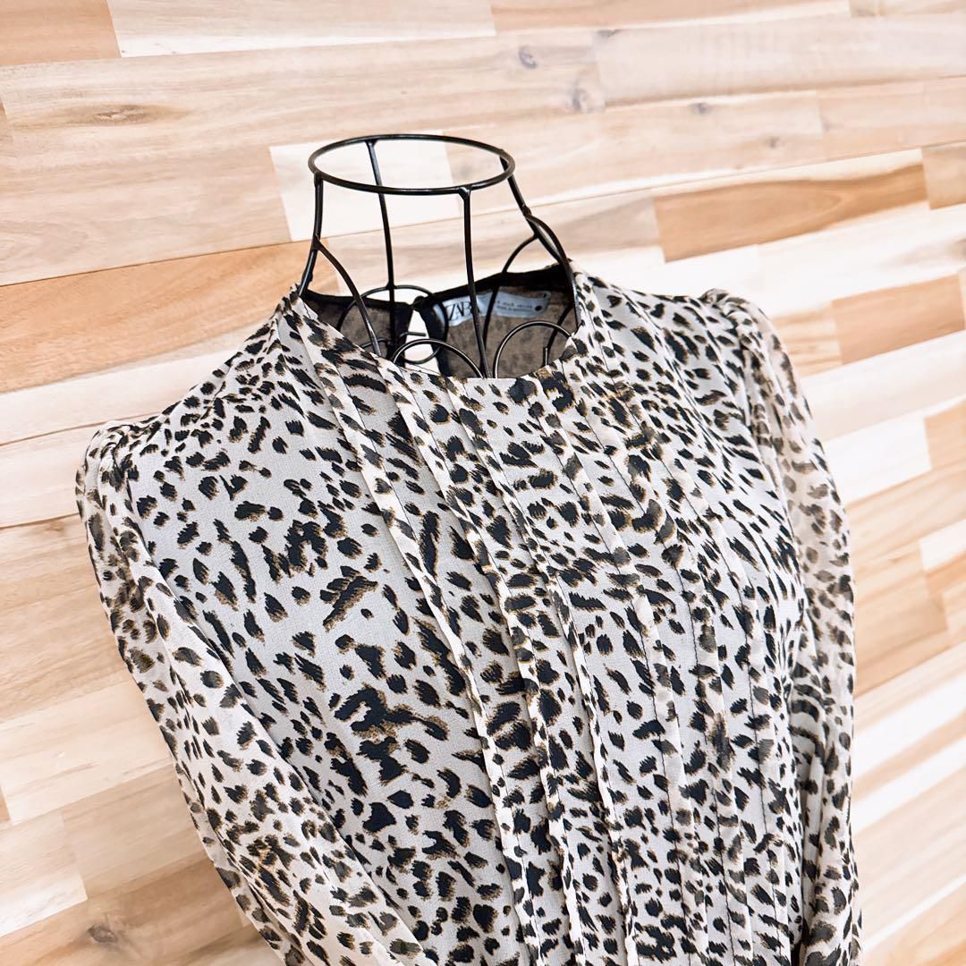 ワンピース アニマル