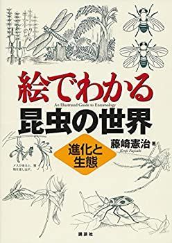 節約 絵でわかる昆虫の世界 進化と生態 (KS絵でわかるシリーズ) 新版