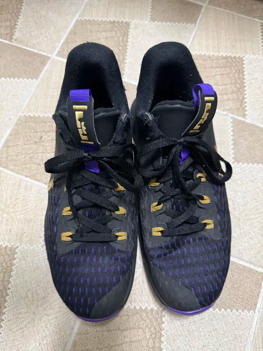 ナイキ ズーム レブロン 270 ファー パープル GOLD LA Lakers