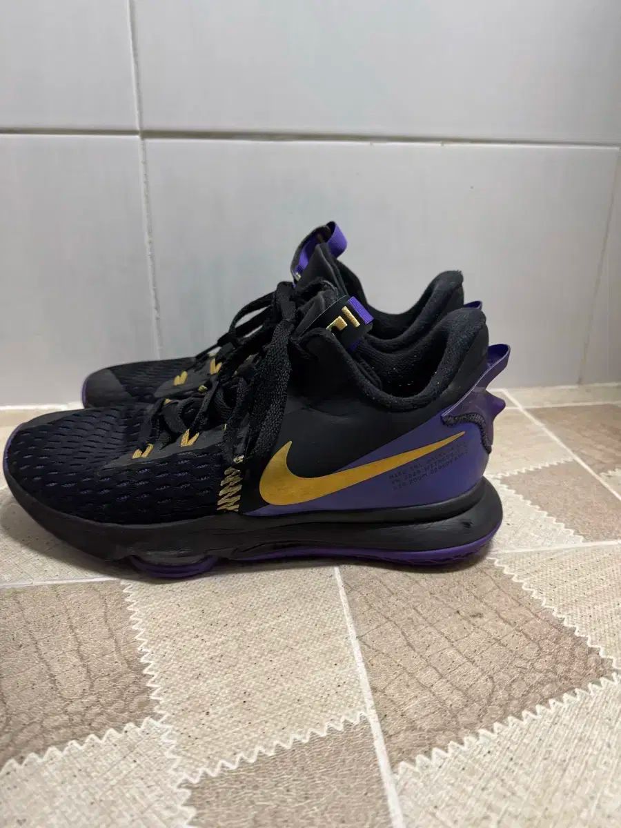 ナイキ ズーム レブロン 270 ファー パープル GOLD LA Lakers