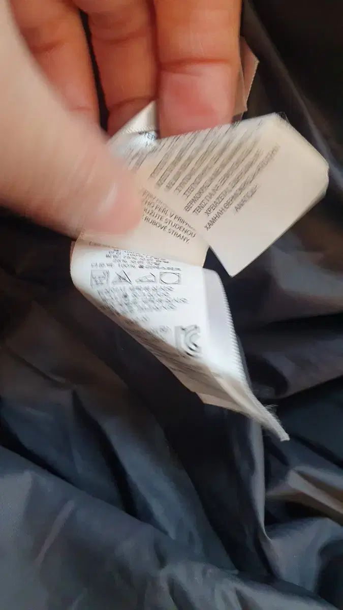 アヒルフェザー