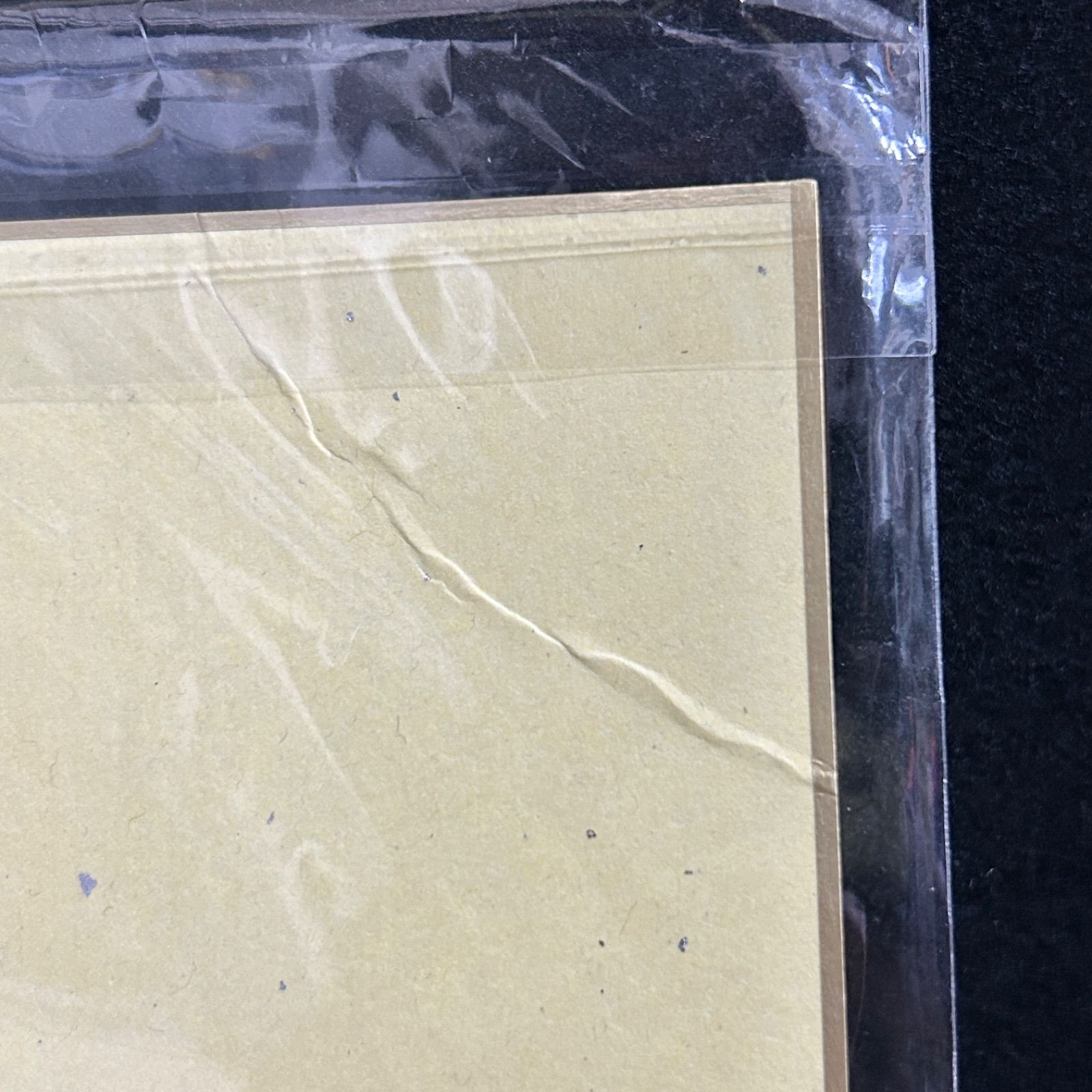 リーフ＆ゼニガメ フィギュア ありがひとし イラスト色紙 初回限定購入特典 リーフ＆ゼニガメフィギュアありがひとし氏イラスト色紙 初回限定購入特典