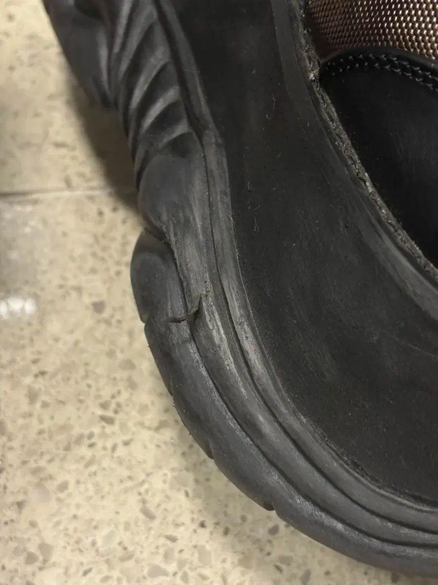 DEMONIA ネプチューン 240