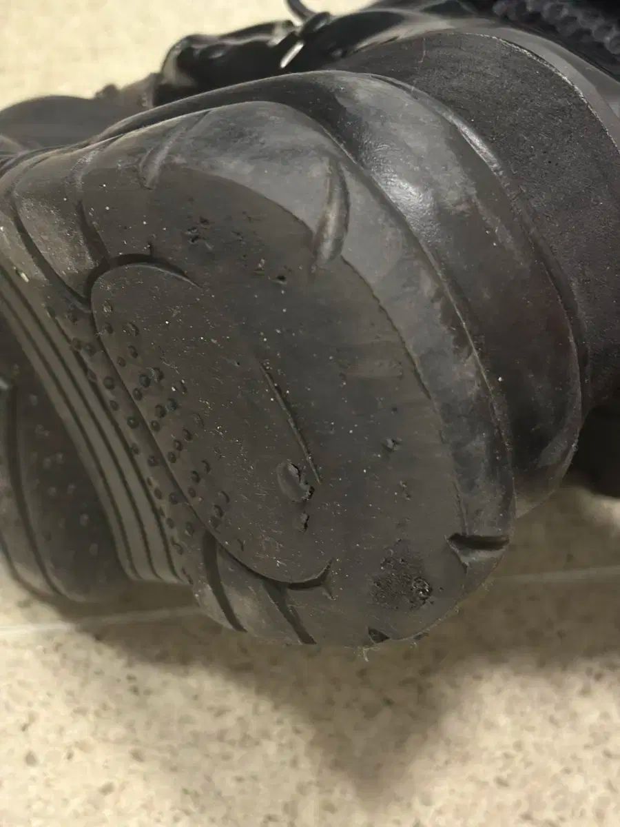 ネプチューン 240