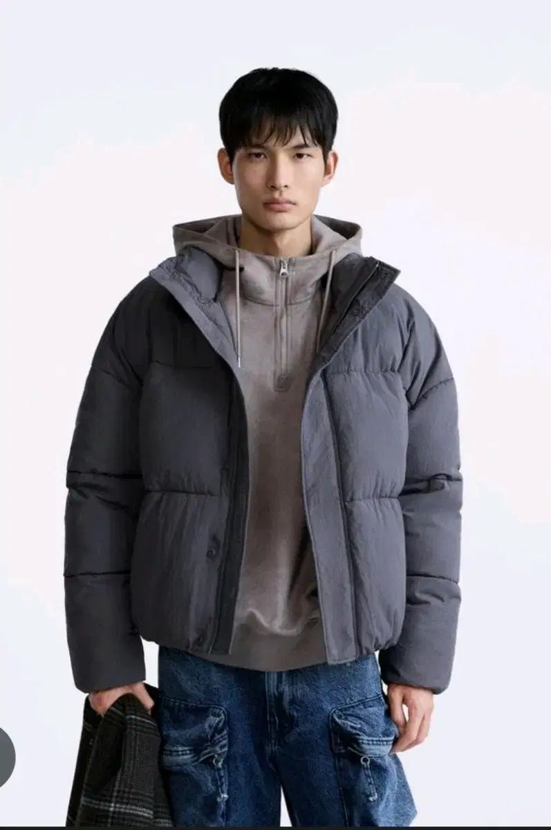 L ザラ ショートダウン グレー 7627 410