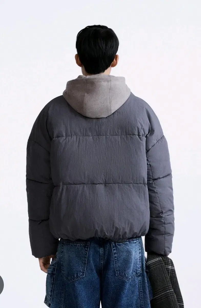 L ザラ ショートダウン グレー 7627 410