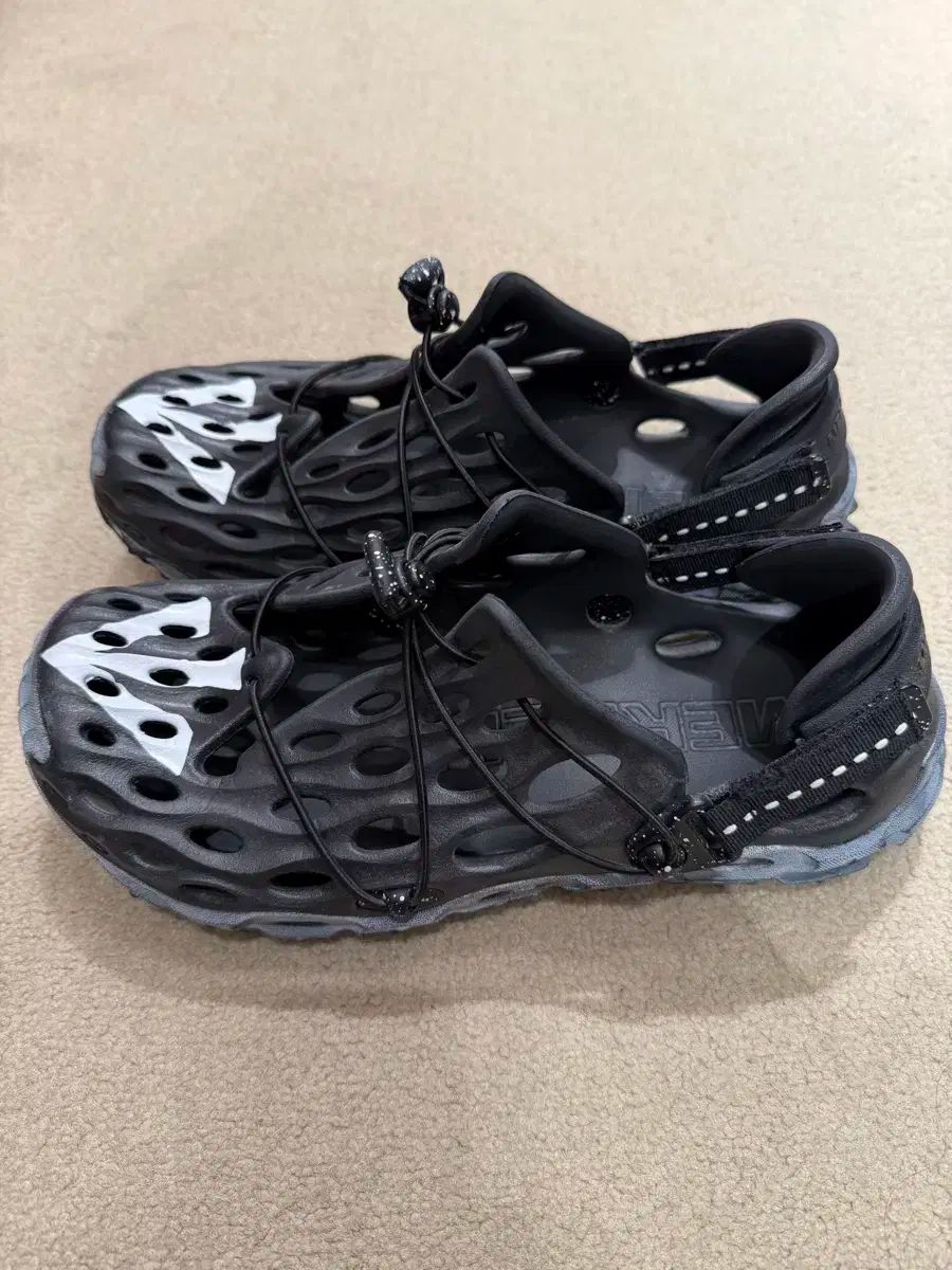 イーストローグ ハイドロ